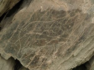 Rock carving at Castelo Melhor near Foz Coa